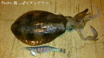 �����ꥤ��