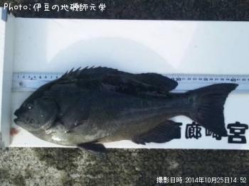 �����᥸��