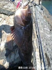 �����ʥ�