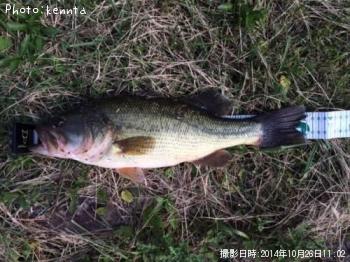 ¥Ö¥é¥Ã¥¯¥Ð¥¹