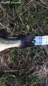 ¥Ö¥é¥Ã¥¯¥Ð¥¹