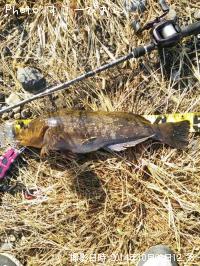 �����ʥ�