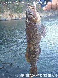 �����ʥ�