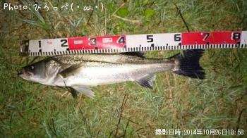 �����Х�