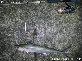 �����λ�