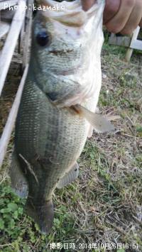 �֥�å��Х�