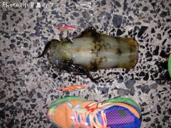 �����ꥤ��