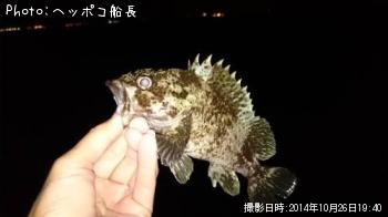 ��饽��