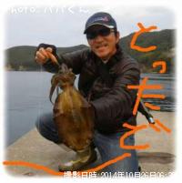 �����ꥤ��