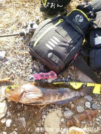 �����ʥ�