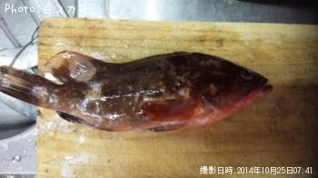 �����ϥ�