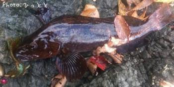 �����ʥ�