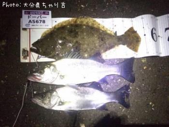 �ҥ������ӥҥ�