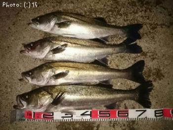 �����Х�