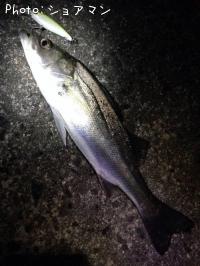 �����Х�