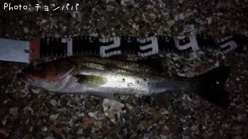 �����Х�