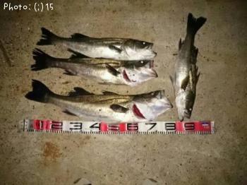 �����Х�