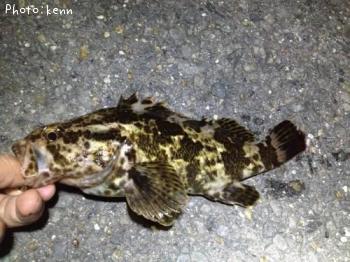 �����Υ���Х�