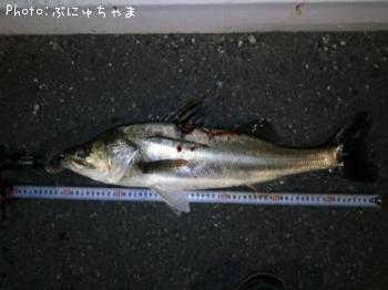 �����Х�