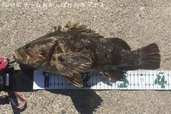 �����Υ���Х�