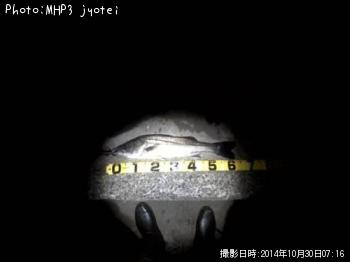 �����Х�