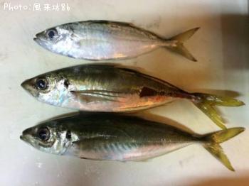 �������ᥢ��