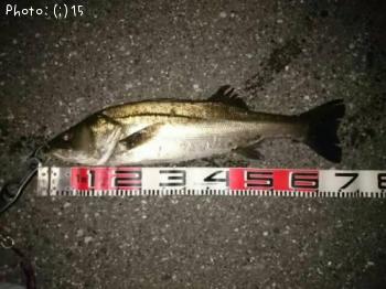 �����Х�