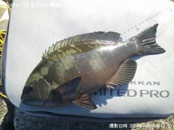 �����᥸��