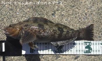 �����ʥ�