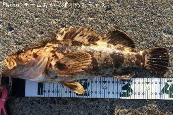 �����Υ���Х�