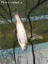 ¥ì¥¤¥ó¥Ü¡¼¥È¥é¥¦¥È