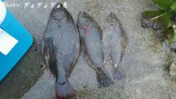 ¥Ò¥é¥á¤¬£³É¤