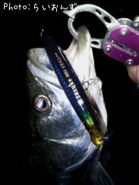 �����Х�