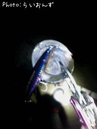 �����Х�