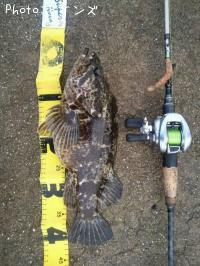 ¥¿¥±¥Î¥³¥á¥Ð¥ë