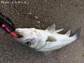 �����Х�