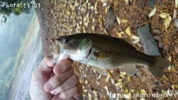 �֥�å��Х�