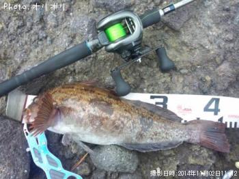 �����ʥ�