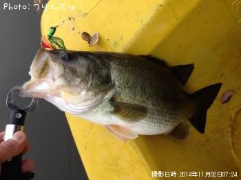 �֥�å��Х�