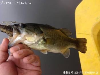 �֥�å��Х�