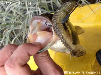 �֥�å��Х�