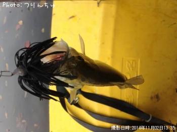 �֥�å��Х�