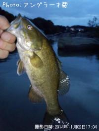 ���⡼��ޥ����Х�