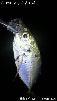 �����Х��������