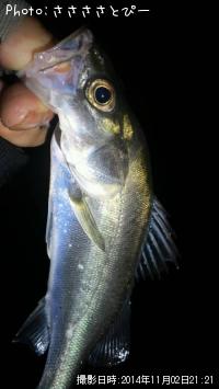 �����Х��������