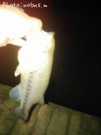 �֥�å��Х�