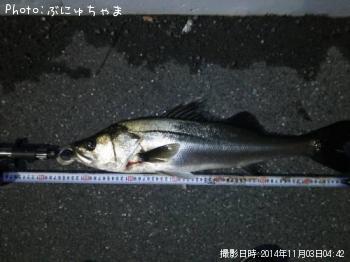 �����Х�