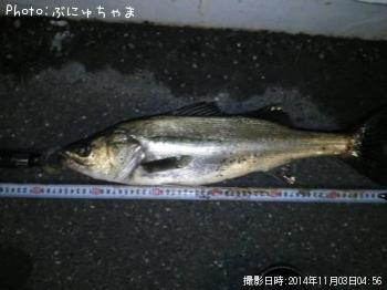 �����Х�