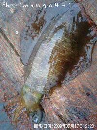 �����ꥤ��