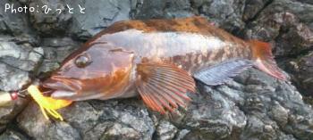 �����ʥ�